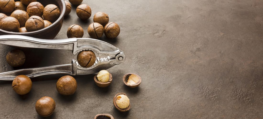 macadamia benefits