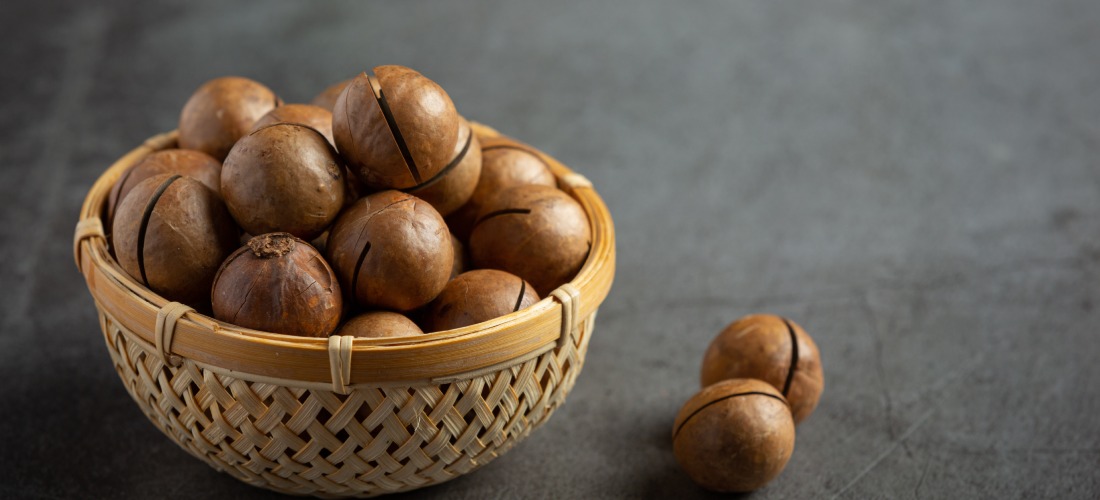 macadamia nut